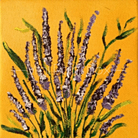 Lavanders