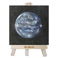 The Earth
